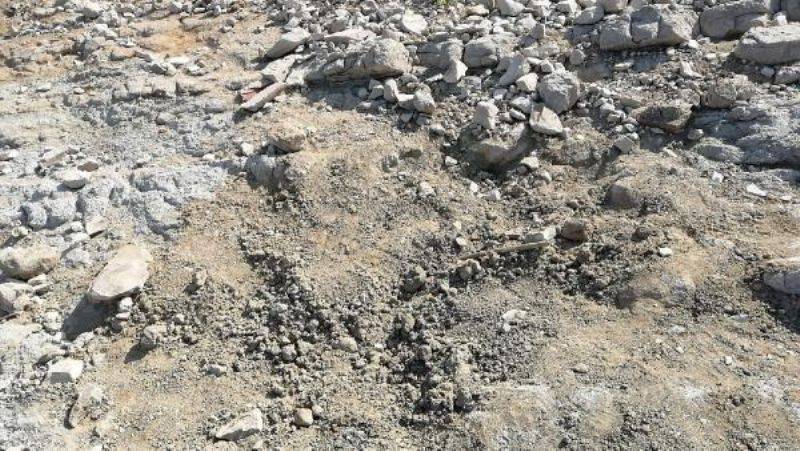 Biga'da Gölet Havzasında 4 Kafatası ve Kemikler Bulundu