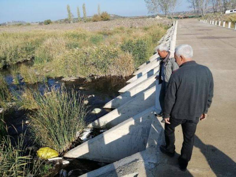 Çaydaki Balık Ölümleri Köylüleri Tedirgin Etti