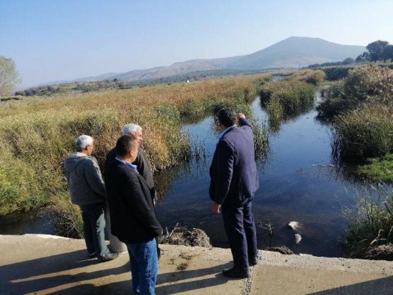 Çaydaki Balık Ölümleri Köylüleri Tedirgin Etti