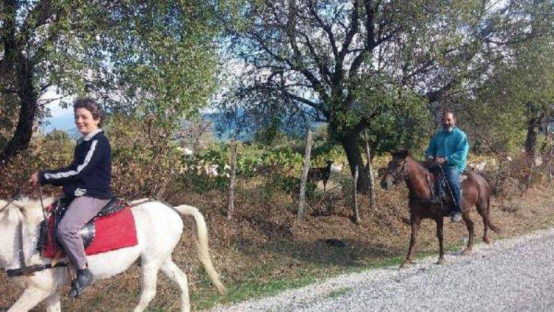Atlarla Yaşıyor, Atların Renkli Yaşamlarını Yazıyor