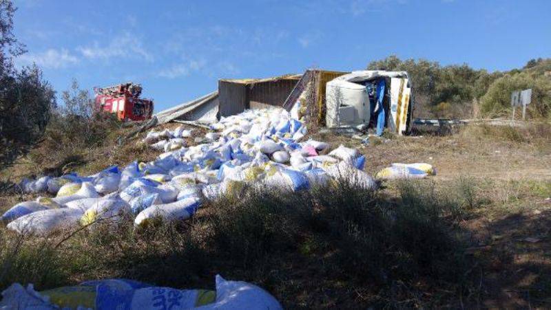 Devrilen Yem Kamyonunun Şoförü Yaralandı