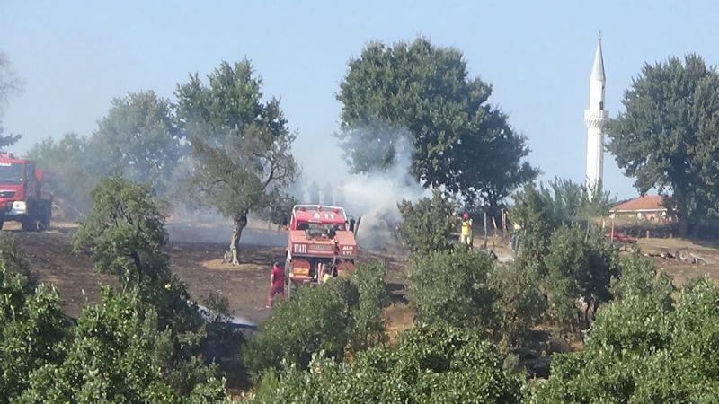 Yangının Ormana Sıçramaması Sevindirdi