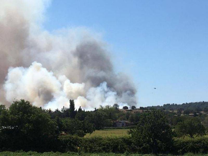 Eceabat'ta Korkutan Orman Yangını 