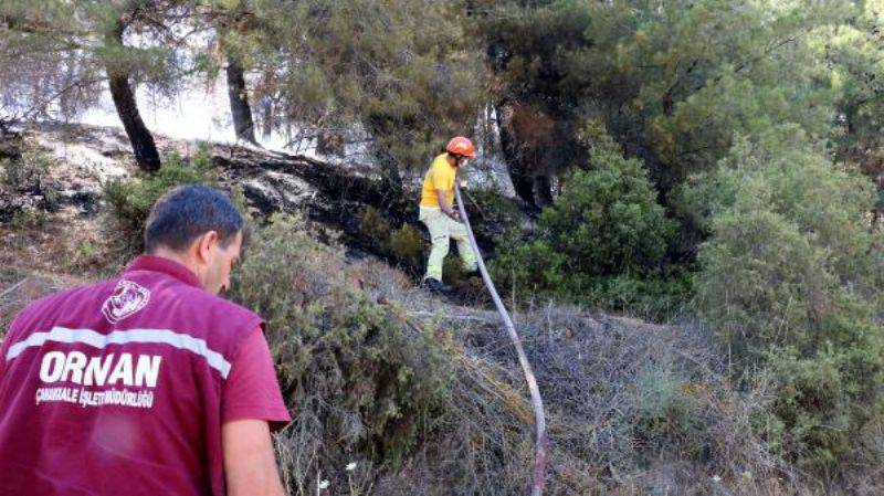 Eceabat'ta Korkutan Orman Yangını 