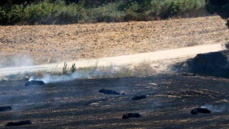 Eceabat'ta Korkutan Orman Yangını 