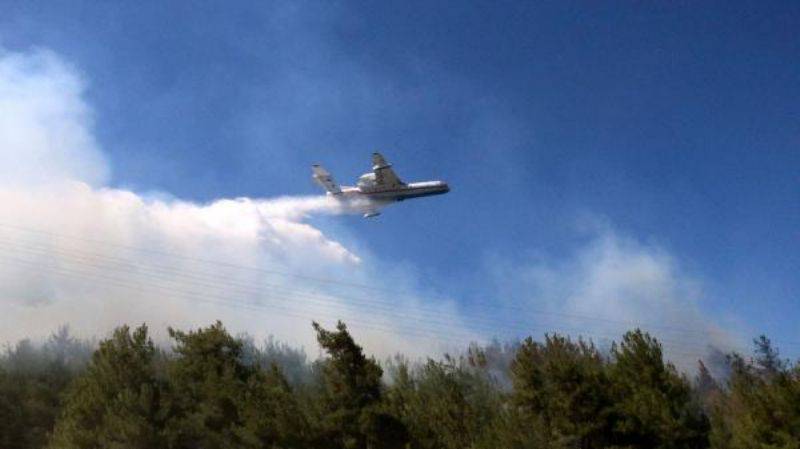 Eceabat'ta Korkutan Orman Yangını 