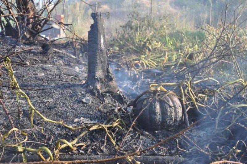 Bayramiç'te Çıkan Yangın, Biber ve Kabaklara Zarar Verdi