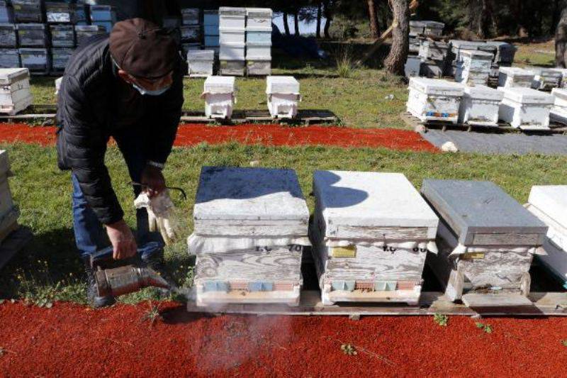 Tarımda Zamansız İlaçlama Arıları Öldürüyor