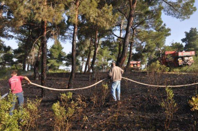 Bayramiç'te Korkutan Orman Yangını