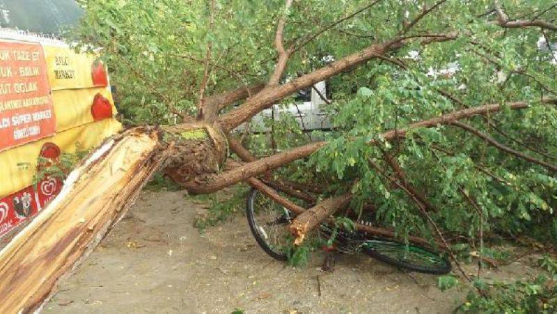 Gelibolu'da Sağanak, Dolu ve Rüzgar Yaşamı Olumsuz Etkiledi