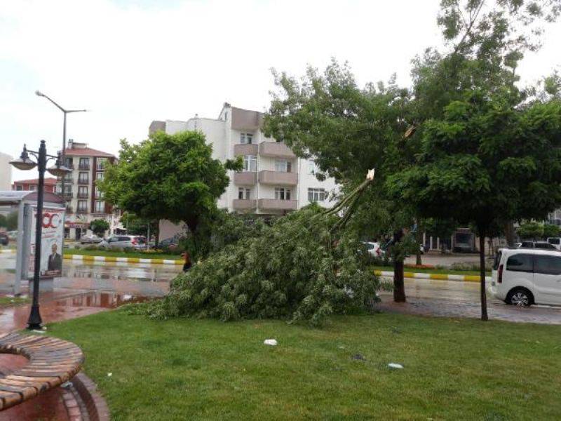 Gelibolu'da Sağanak, Dolu ve Rüzgar Yaşamı Olumsuz Etkiledi