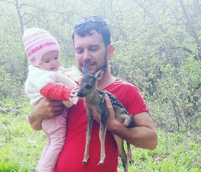 Yavru Karacayı Çoban Köpeklerinden Köylü Genç Kurtardı