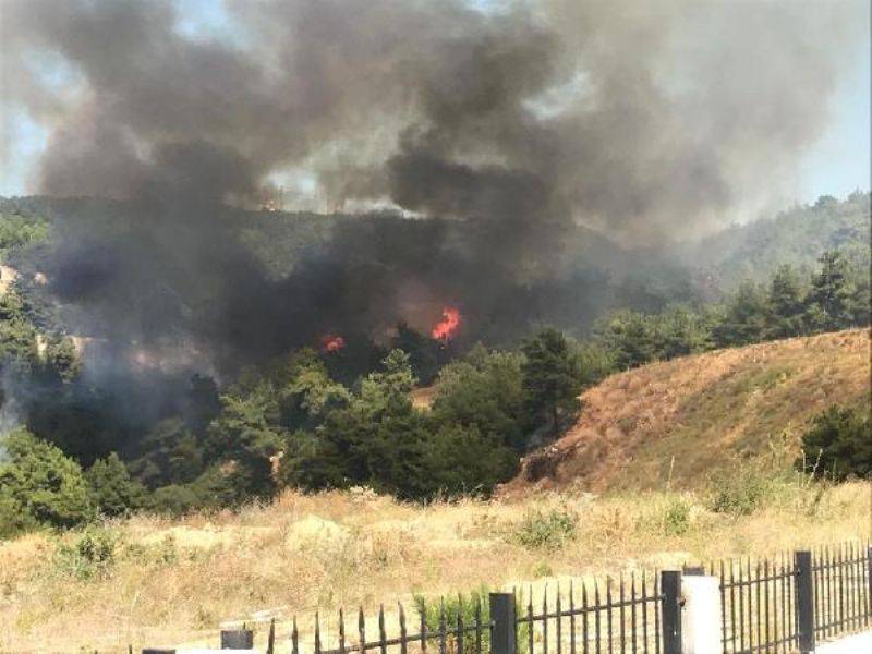 Çanakkale'de Orman Yangını