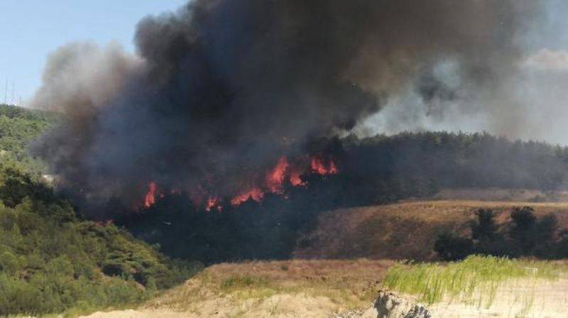 Çanakkale'de Orman Yangını