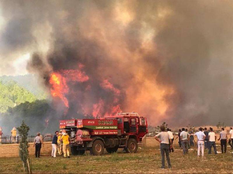 Çanakkale'de Orman Yangını