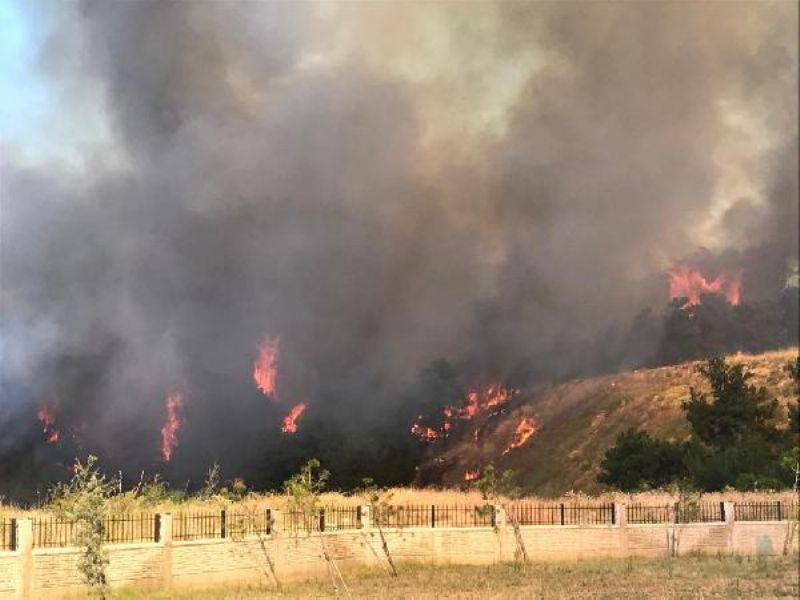 Çanakkale'de Orman Yangını