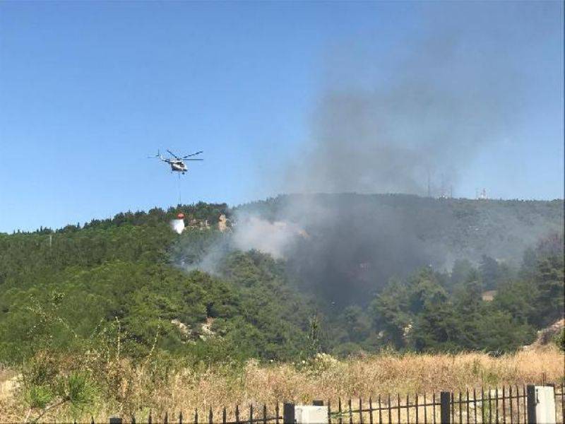 Çanakkale'de Orman Yangını