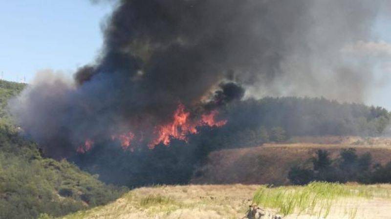 Çanakkale'de Orman Yangını