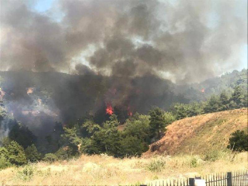 Çanakkale'de Orman Yangını