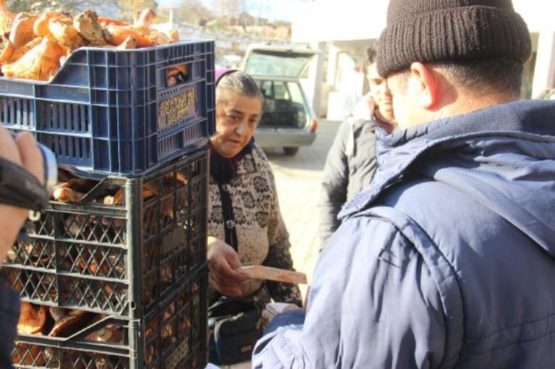 Kazdağları'ndaki Kanlıca Mantarı Köylüye Ek Gelir Oldu