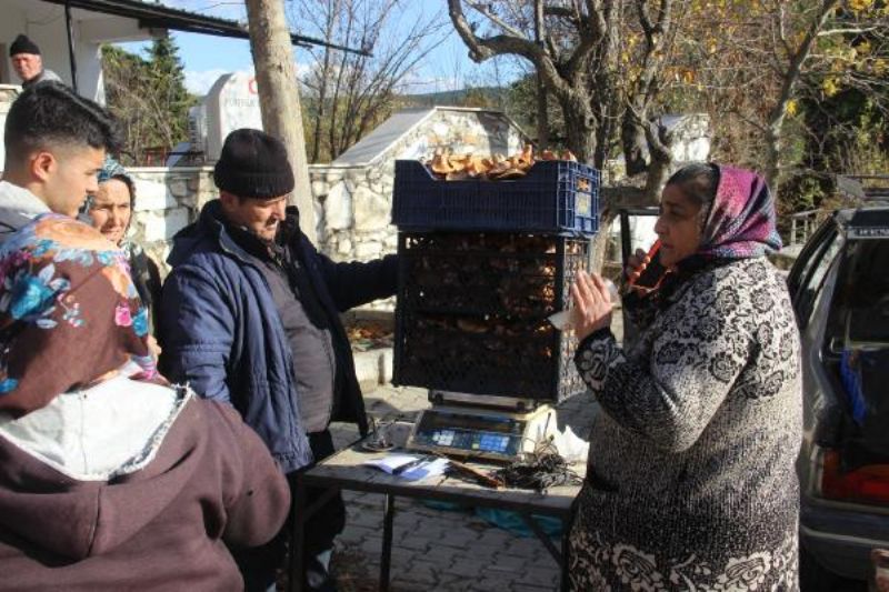 Kazdağları'ndaki Kanlıca Mantarı Köylüye Ek Gelir Oldu