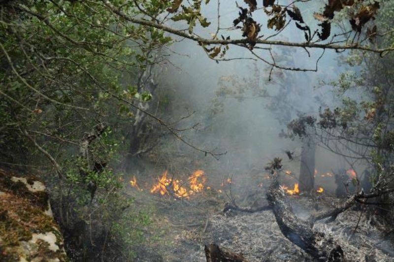 Bayramiç'te Yıldırım Düştü; 2 Hektar Alan Yandı