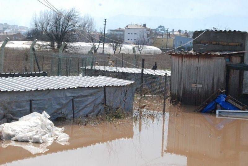 Bayramiç'te Şiddetli Yağış Hayatı Felç Etti