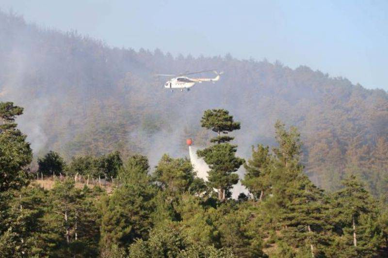 Yenice'de Orman Yangını