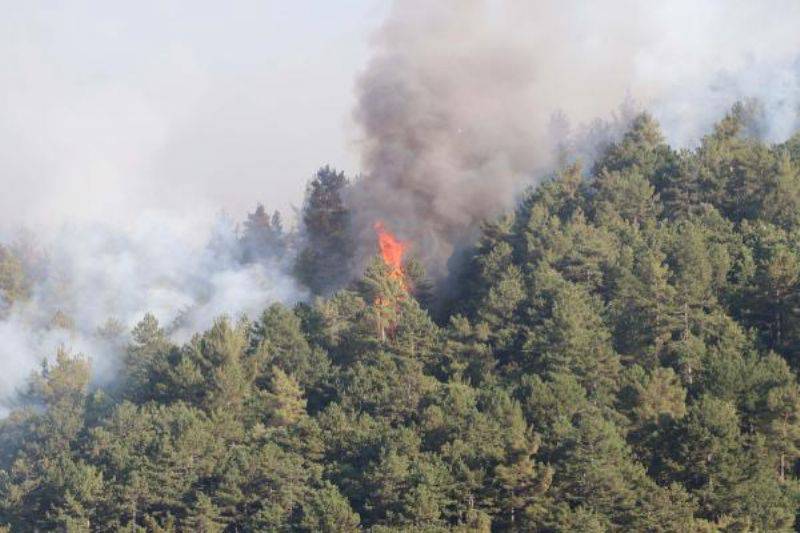 Yenice'de Orman Yangını