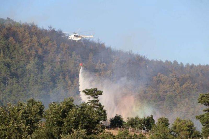 Yenice'de Orman Yangını