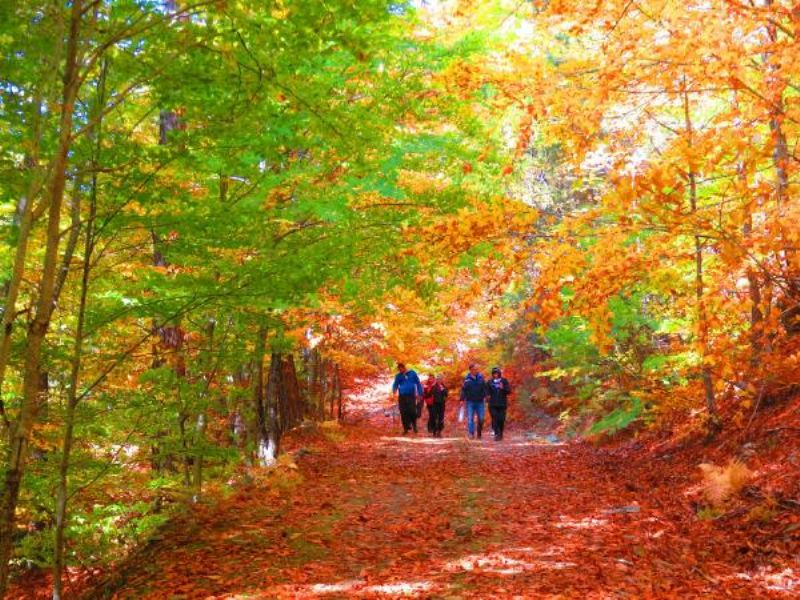 Kazdağları Sonbaharda Bir Başka Güzel