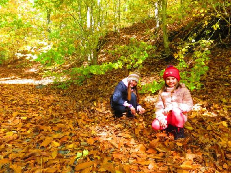 Kazdağları Sonbaharda Bir Başka Güzel