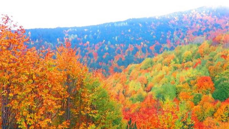 Kazdağları Sonbaharda Bir Başka Güzel