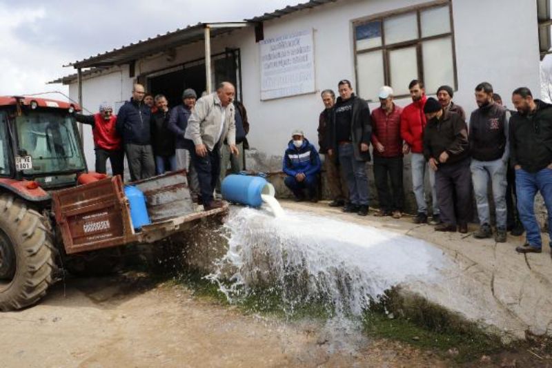 Üreticiler, Düşük Fiyat Veren Mandıracılara Kızıp, Sütleri Döktü