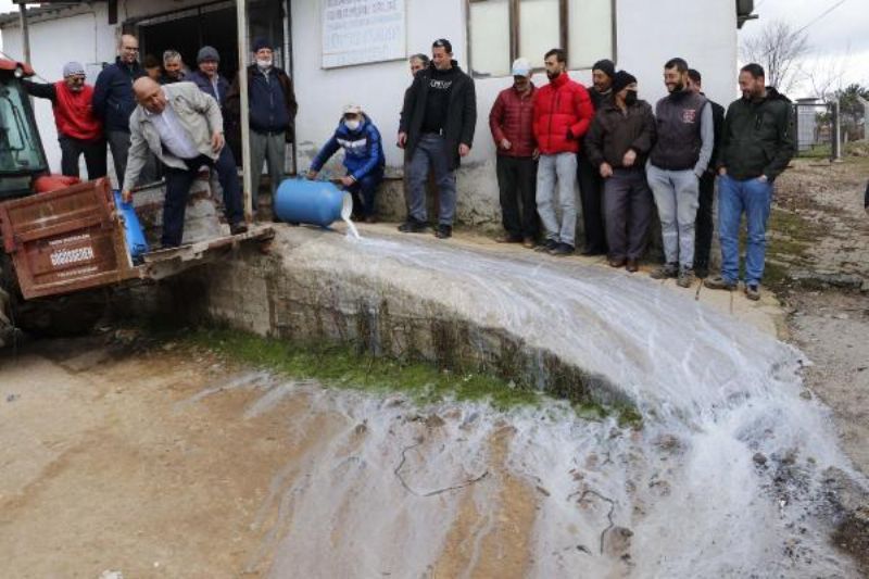 Üreticiler, Düşük Fiyat Veren Mandıracılara Kızıp, Sütleri Döktü