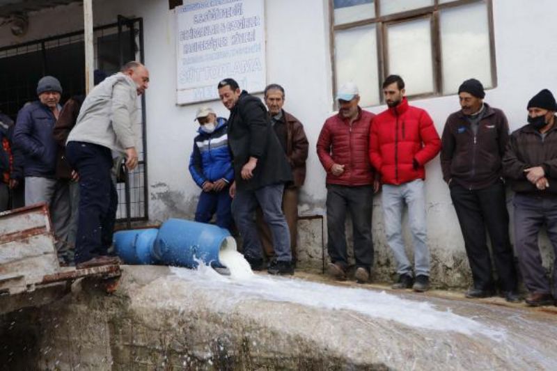 Üreticiler, Düşük Fiyat Veren Mandıracılara Kızıp, Sütleri Döktü