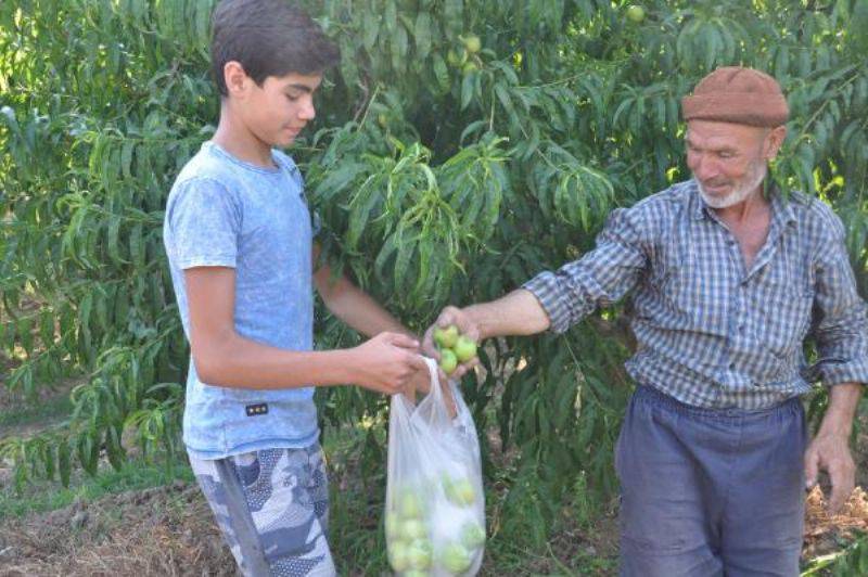 'Bayramiç Beyazı' Üreticinin Yüzünü Güldürüyor