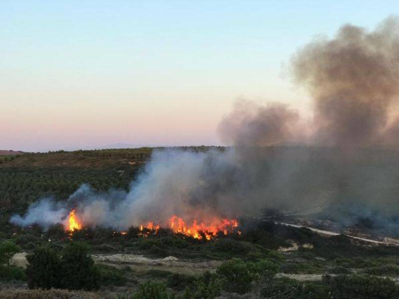 Bozcaada'da Makilik Alanda Yangın