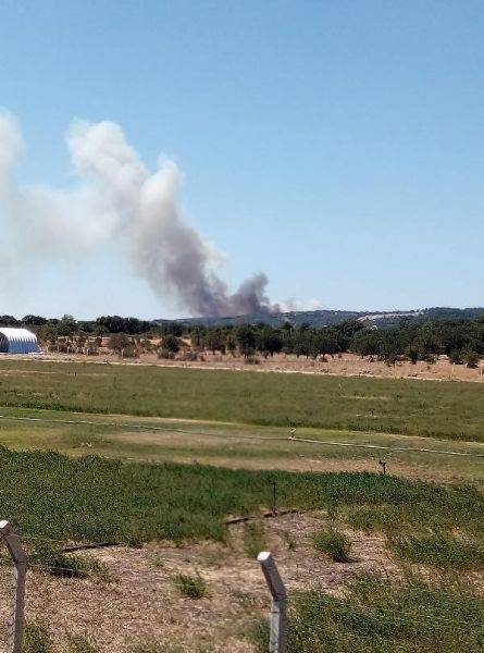 Ayvacık'ta Zirai Alanda Yangın Çıktı