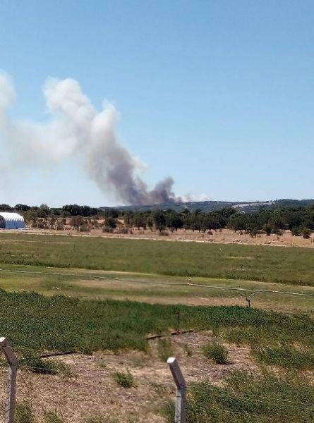 Ayvacık'ta Zirai Alanda Yangın Çıktı