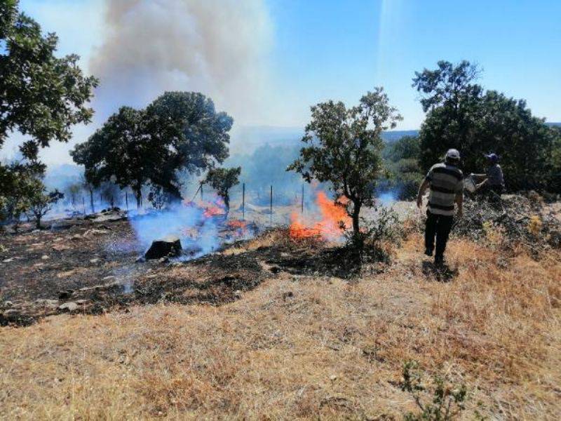 Ayvacık'ta Zirai Alanda Yangın Çıktı