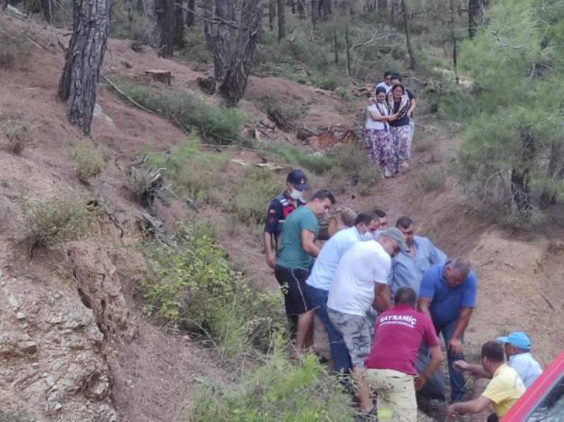 Orman İşçisi, Kestiği Ağacın Altında Kalarak Öldü