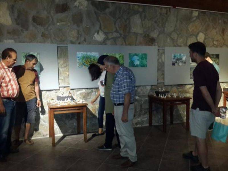 Bozcaada'da, 'Deniz Kabuklarından Figürler ve Su Altı Fotoğraf' Sergisi Açıldı