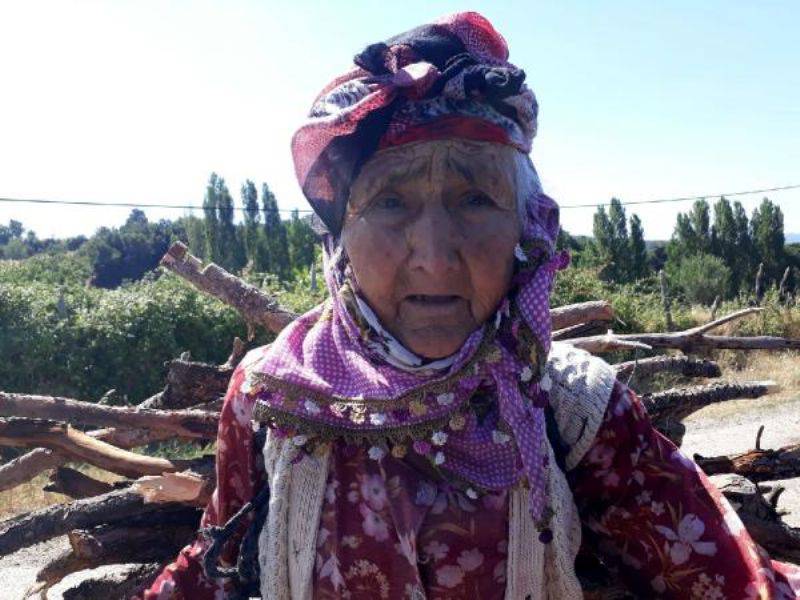 94 Yaşında, Kışlık Odununu Sırtında Taşıyor