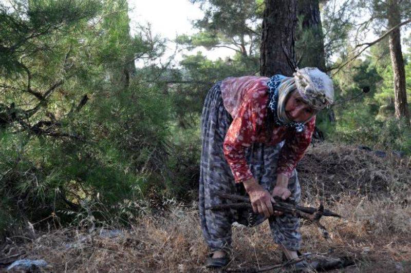 94 Yaşında, Kışlık Odununu Sırtında Taşıyor