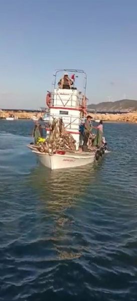 Çanakkaleli Balıkçı, 15 Bin Tane Lüfer Yakaladı