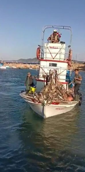 Çanakkaleli Balıkçı, 15 Bin Tane Lüfer Yakaladı
