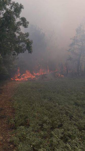Çanakkale'de Orman Yangınında 3 Hektar Ormanlık Alan Zarar Gördü