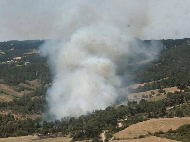 Çanakkale'de Orman Yangınında 3 Hektar Ormanlık Alan Zarar Gördü