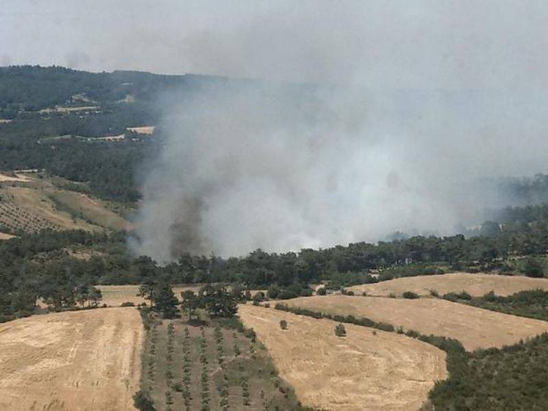 Çanakkale'de Orman Yangınında 3 Hektar Ormanlık Alan Zarar Gördü